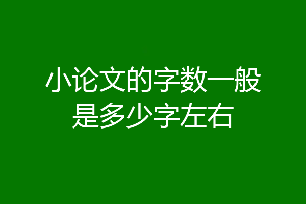 小论文的字数一般是多少字左右