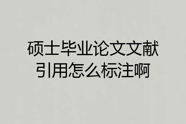 硕士毕业论文文献引用怎么标注啊