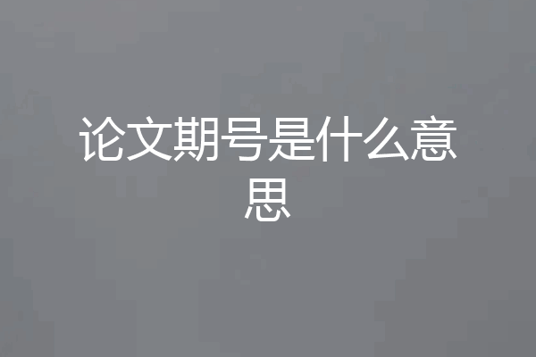 论文期号是什么意思
