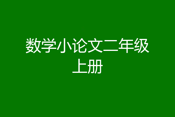 数学小论文二年级上册