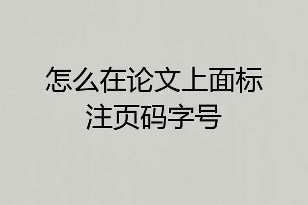 怎么在论文上面标注页码字号