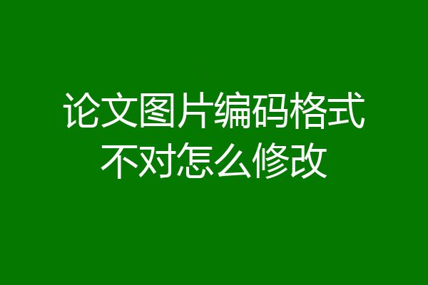 论文图片编码格式不对怎么修改