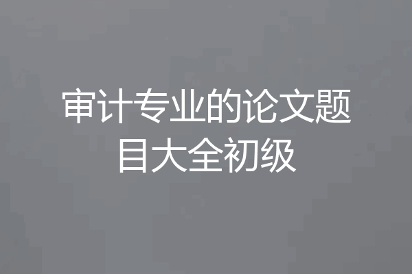 审计专业的论文题目大全初级