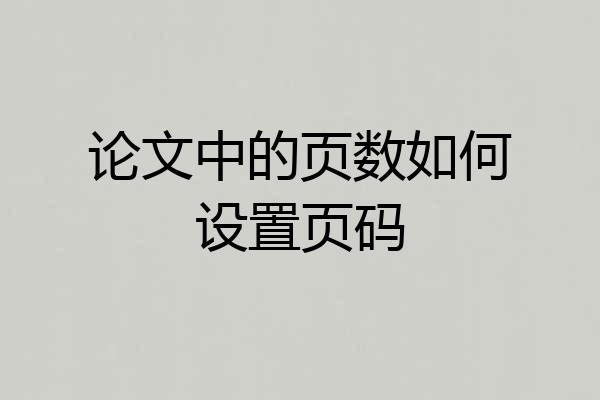 论文中的页数如何设置页码