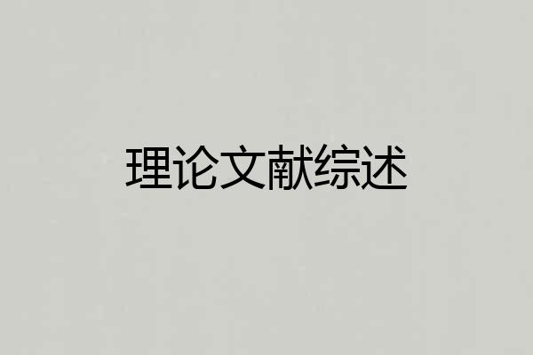 理论文献综述