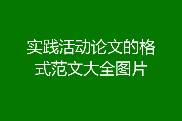 实践活动论文的格式范文大全图片