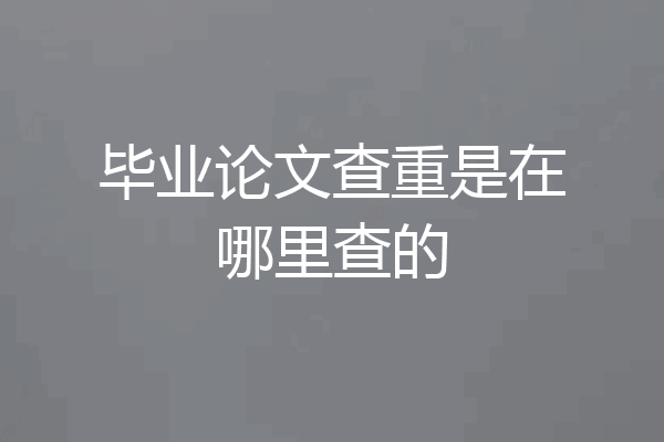 毕业论文查重是在哪里查的