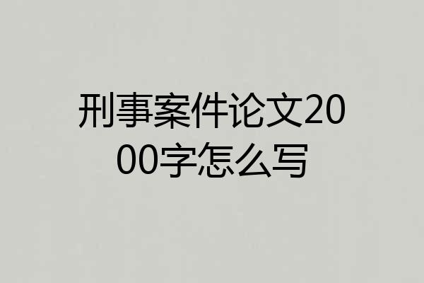 刑事案件论文2000字怎么写