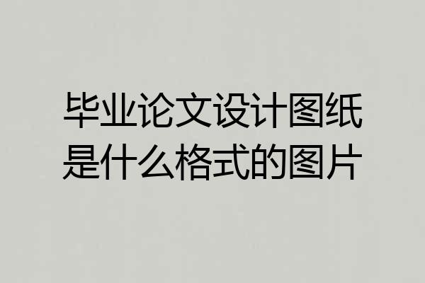 毕业论文设计图纸是什么格式的图片
