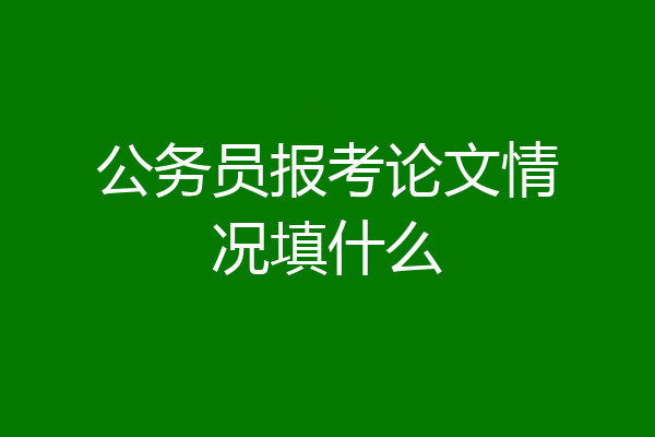 公务员报考论文情况填什么