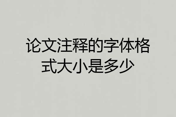 论文注释的字体格式大小是多少