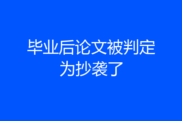 毕业后论文被判定为抄袭了