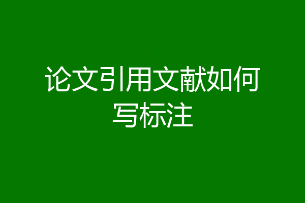论文引用文献如何写标注