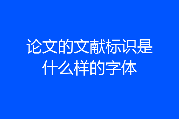 论文的文献标识是什么样的字体