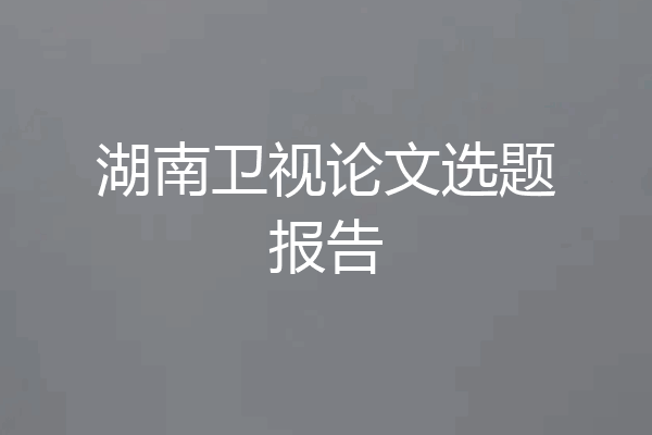 湖南卫视论文选题报告