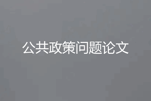 公共政策问题论文