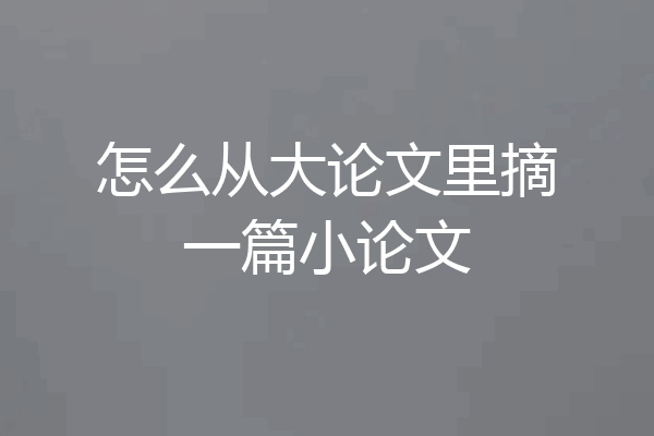 怎么从大论文里摘一篇小论文