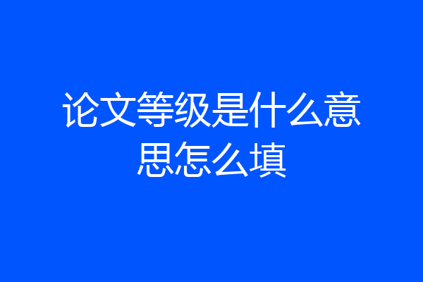 论文等级是什么意思怎么填
