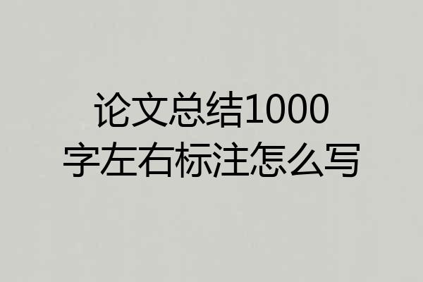 论文总结1000字左右标注怎么写