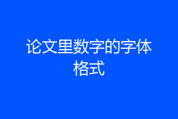 论文里数字的字体格式