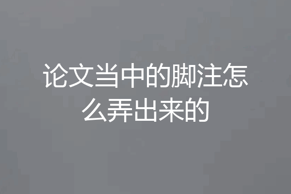 论文当中的脚注怎么弄出来的