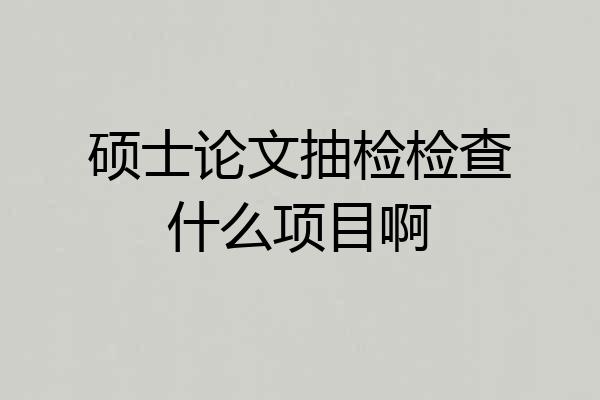 硕士论文抽检检查什么项目啊