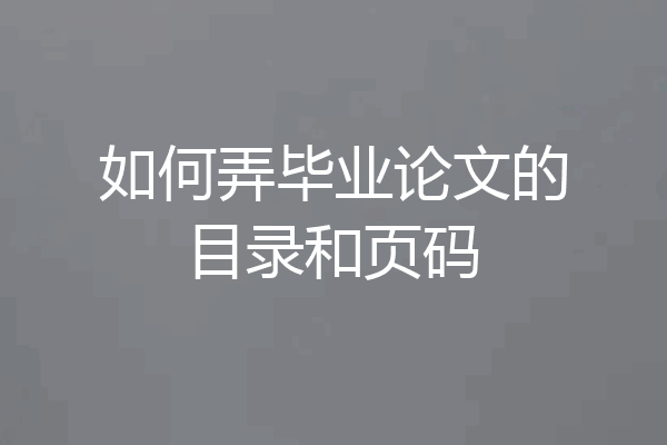 如何弄毕业论文的目录和页码
