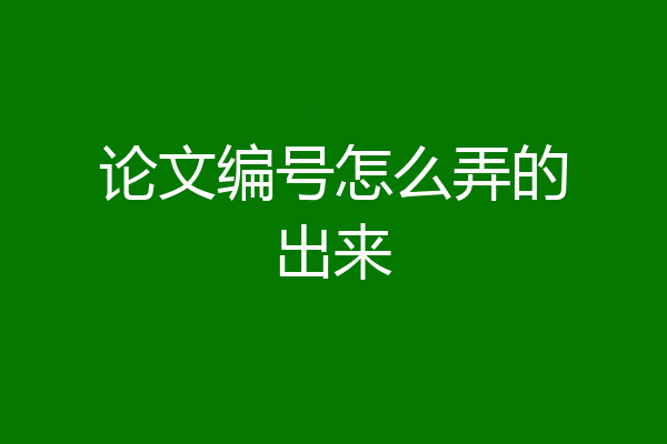 论文编号怎么弄的出来