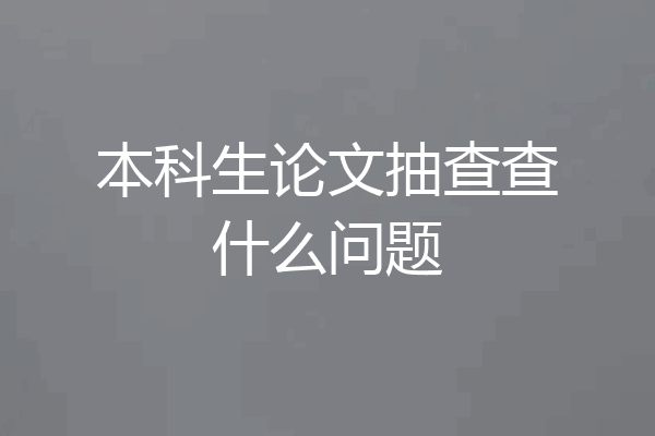 本科生论文抽查查什么问题