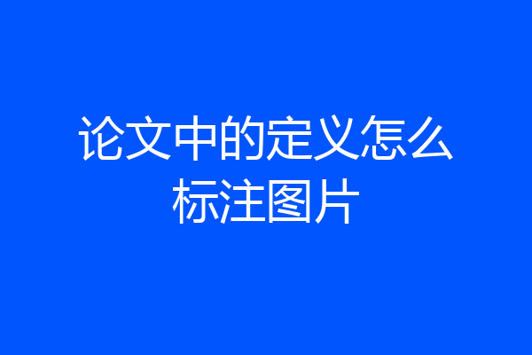 论文中的定义怎么标注图片