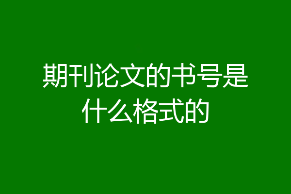 期刊论文的书号是什么格式的
