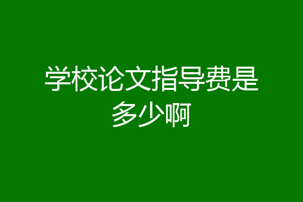 学校论文指导费是多少啊