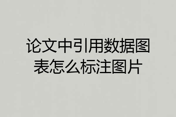 论文中引用数据图表怎么标注图片