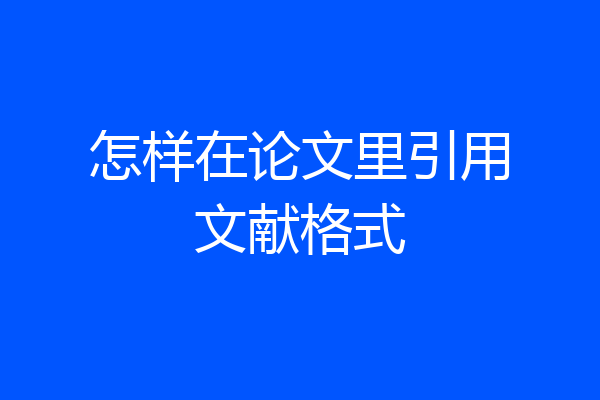 怎样在论文里引用文献格式