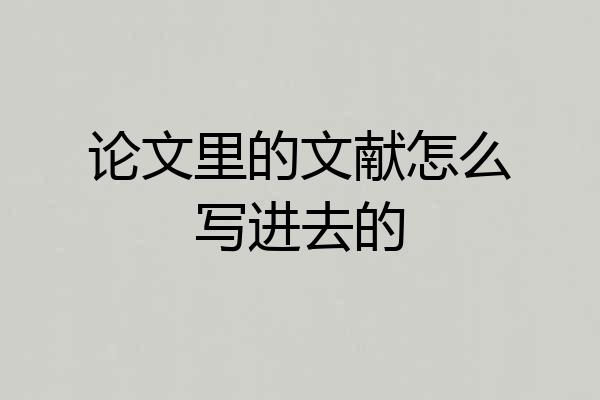论文里的文献怎么写进去的