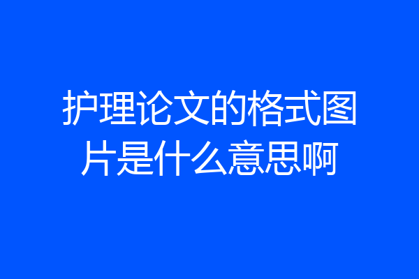 护理论文的格式图片是什么意思啊