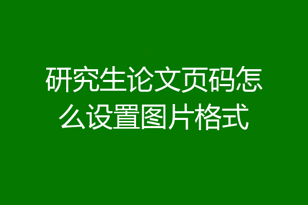 研究生论文页码怎么设置图片格式