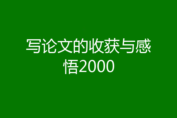 写论文的收获与感悟2000
