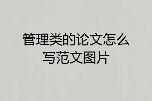 管理类的论文怎么写范文图片