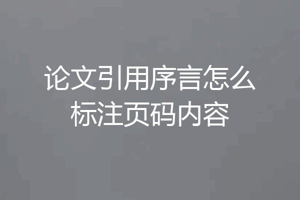 论文引用序言怎么标注页码内容