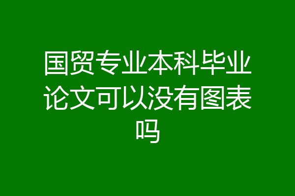 国贸专业本科毕业论文可以没有图表吗