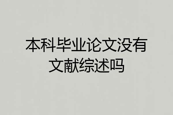 本科毕业论文没有文献综述吗