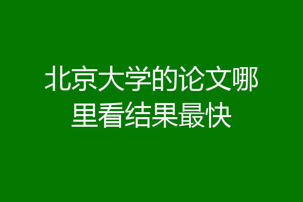 北京大学的论文哪里看结果最快
