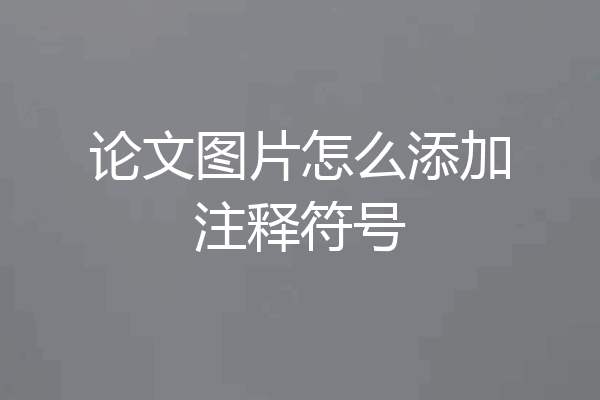 论文图片怎么添加注释符号