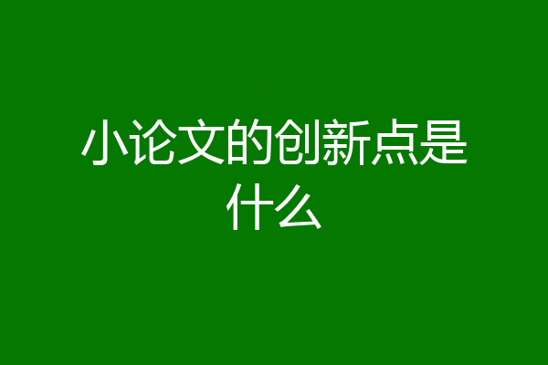 小论文的创新点是什么