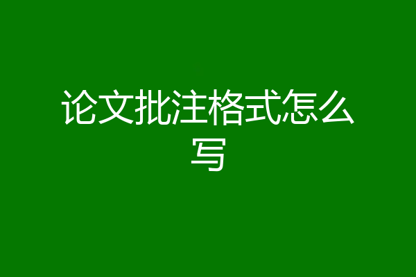 论文批注格式怎么写