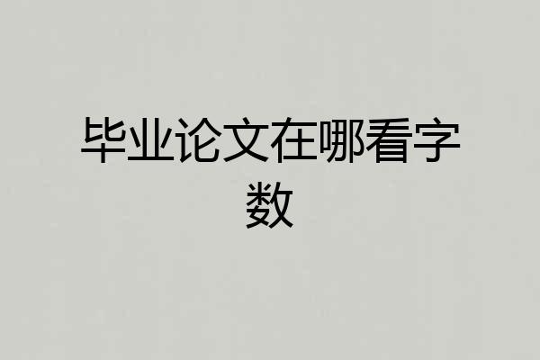 毕业论文在哪看字数