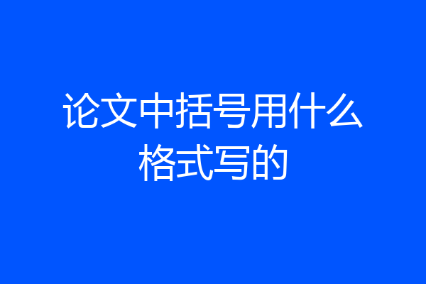 论文中括号用什么格式写的