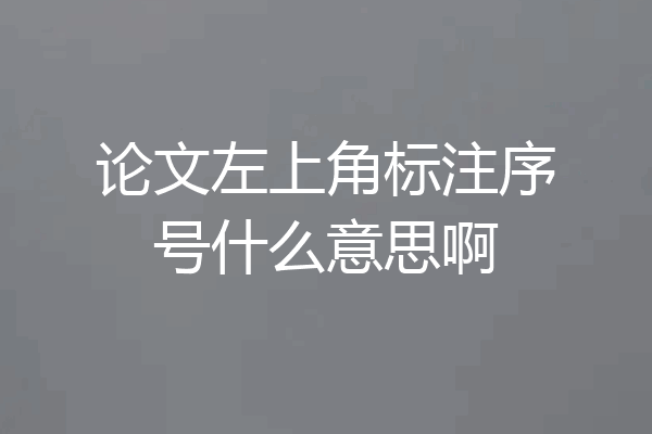 论文左上角标注序号什么意思啊