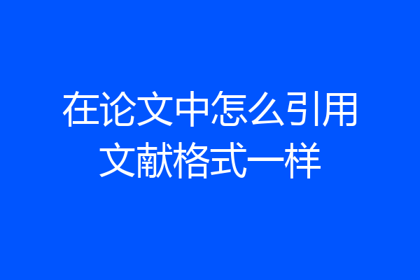 在论文中怎么引用文献格式一样